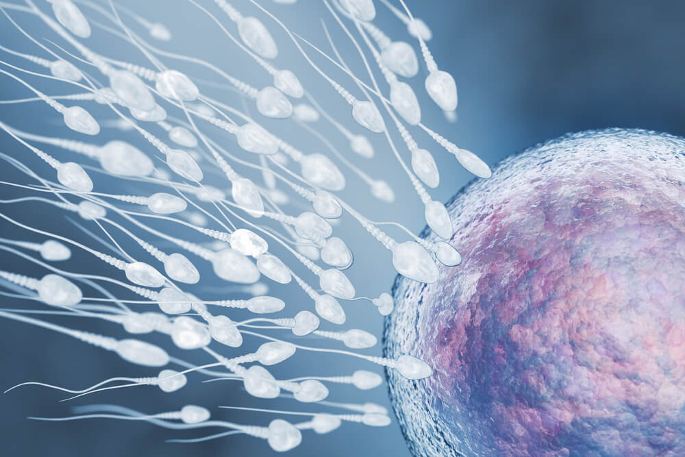 Sperma: czy wpływa na kobietę?
