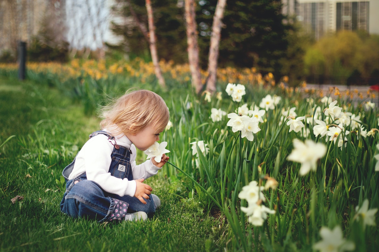 Bezpieczny ogród dla twojego dziecka – jak go zorganizować?