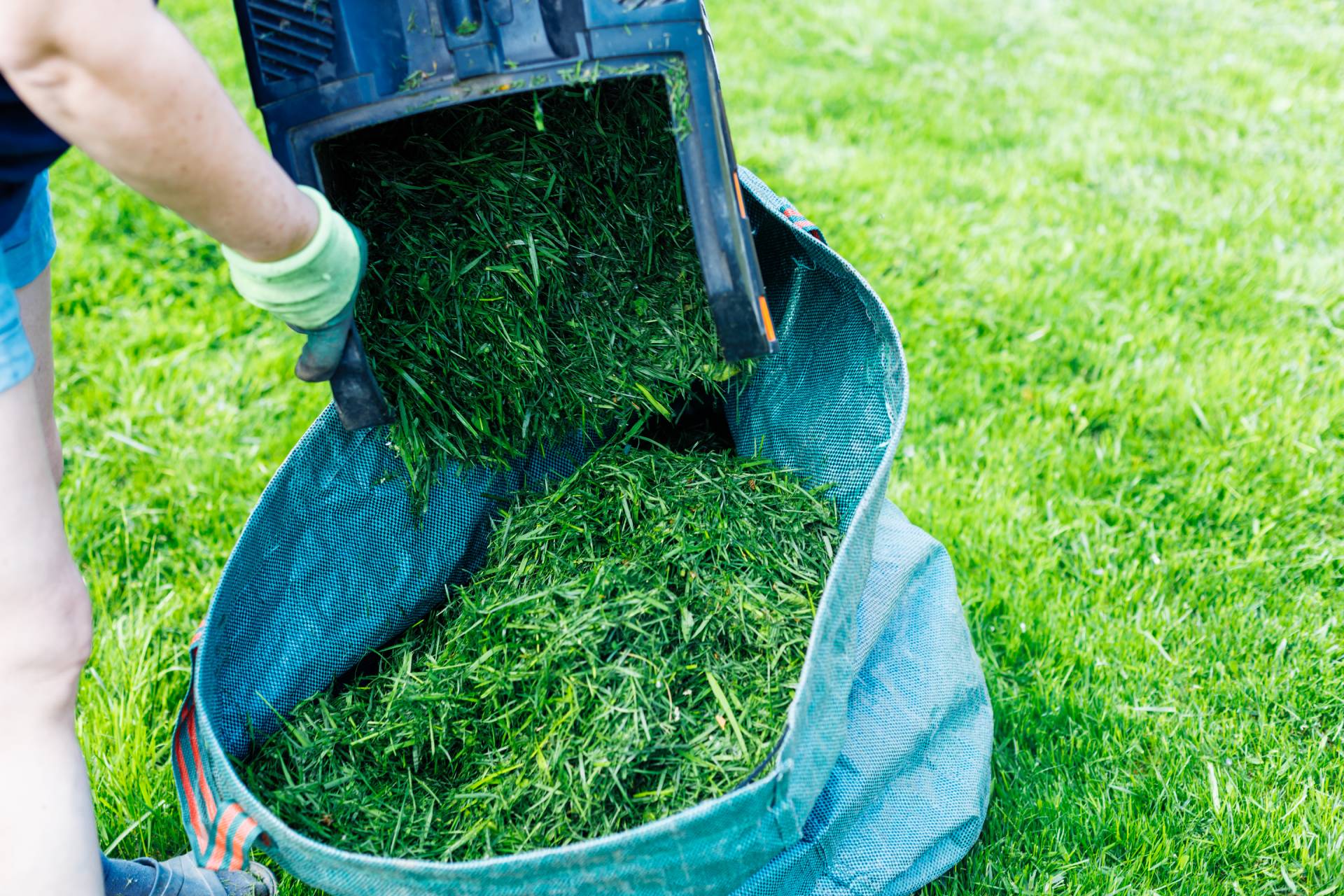 Nie wyrzucaj skoszonej trawy! Ogrodnicy mają lepszy sposób. Rozwiążesz nawracający problem