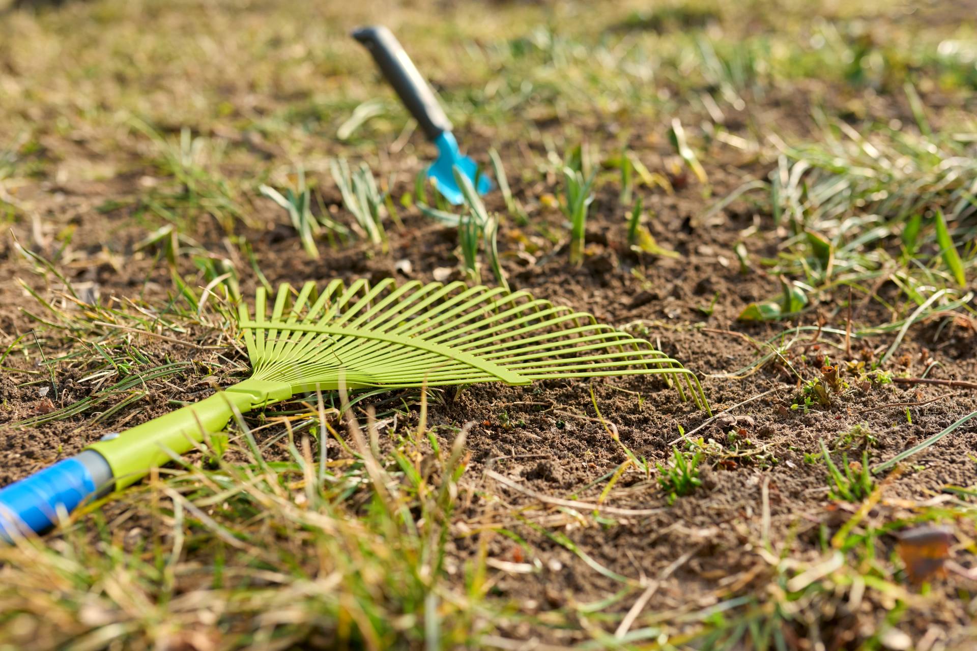Jak chronić trawnik przed suszą? Dwa sposoby zadziałają lepiej niż podlewanie